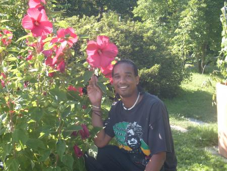 avec mon hibiscus la pose sa le fait